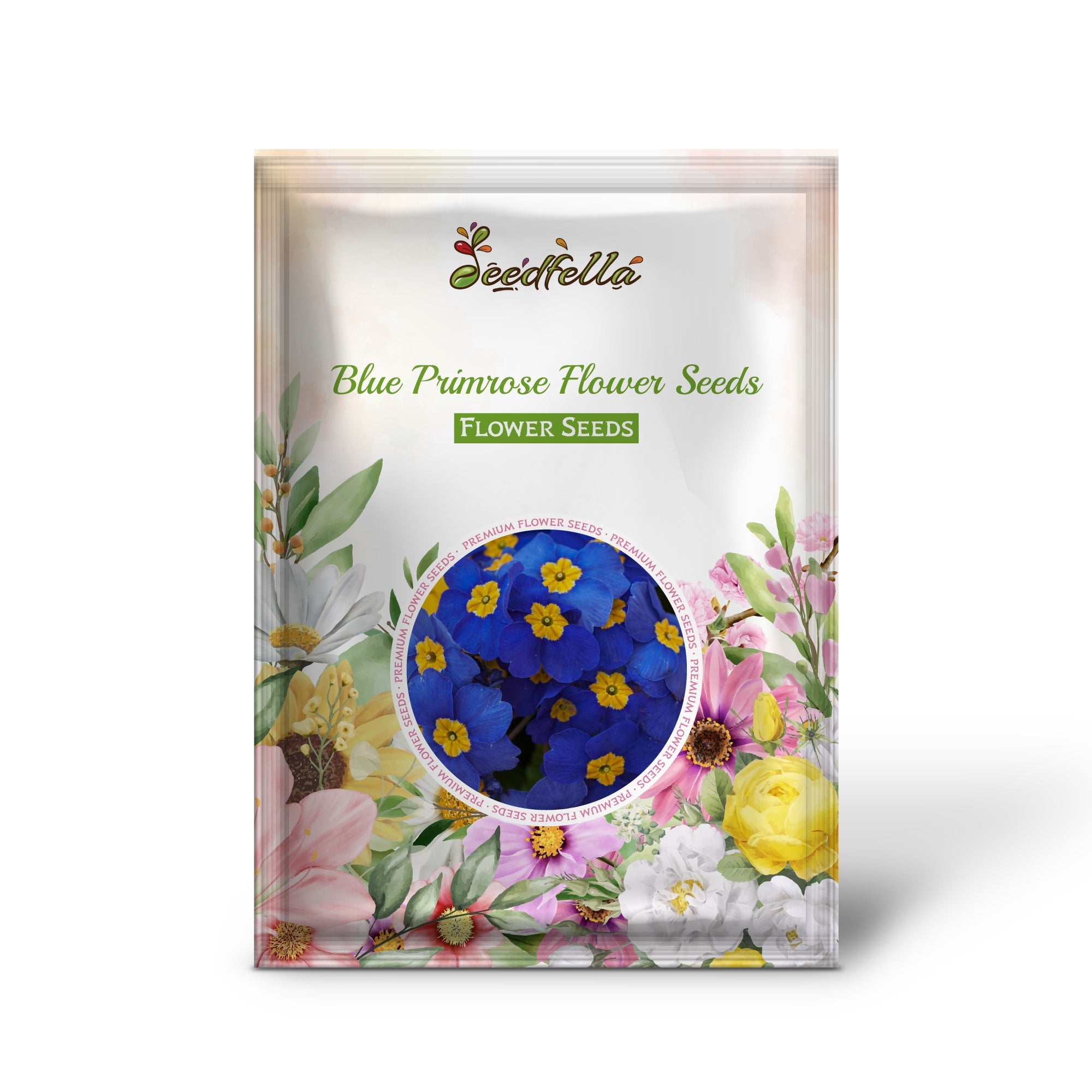Blue Primrose Flower Seeds for Easy Planting