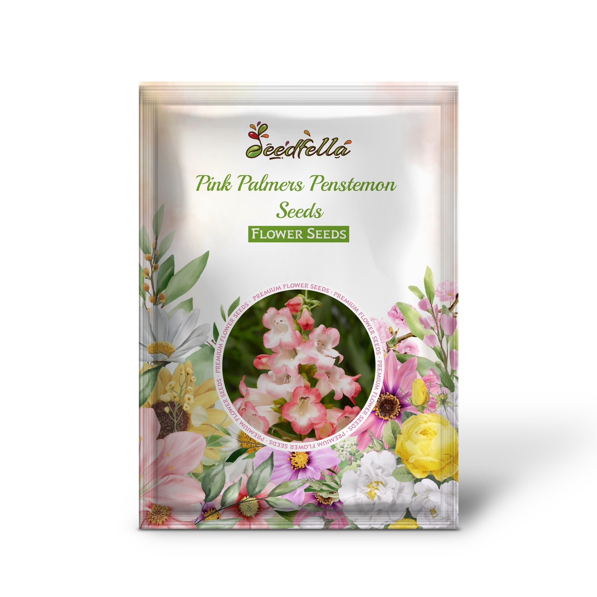 Pink Palmers Penstemon Seeds for Planting Vibrant Perennial Flower Seeds for Your Garden
