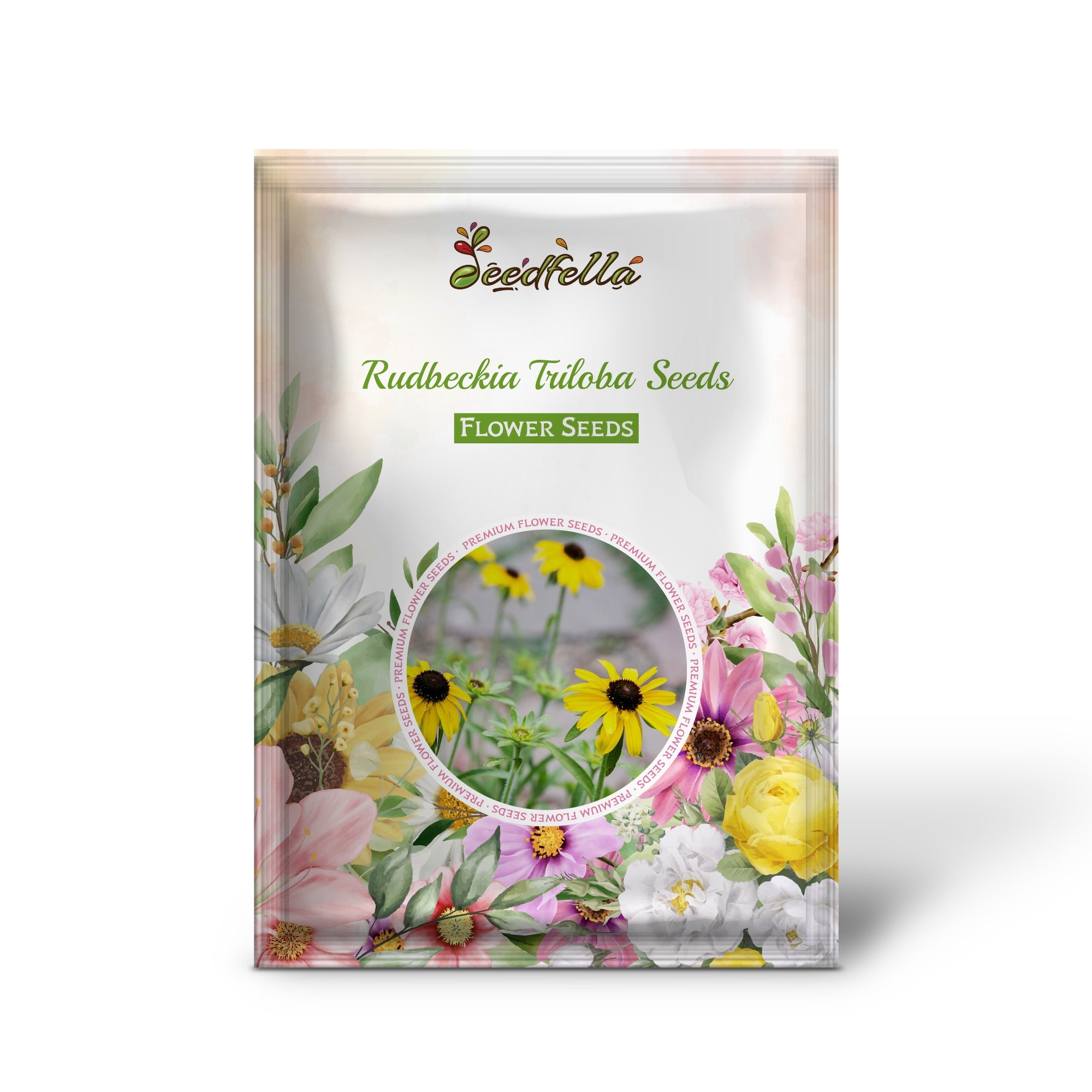 Rudbeckia Triloba Seeds for Planting Vibrant Flower Seeds for Your Garden