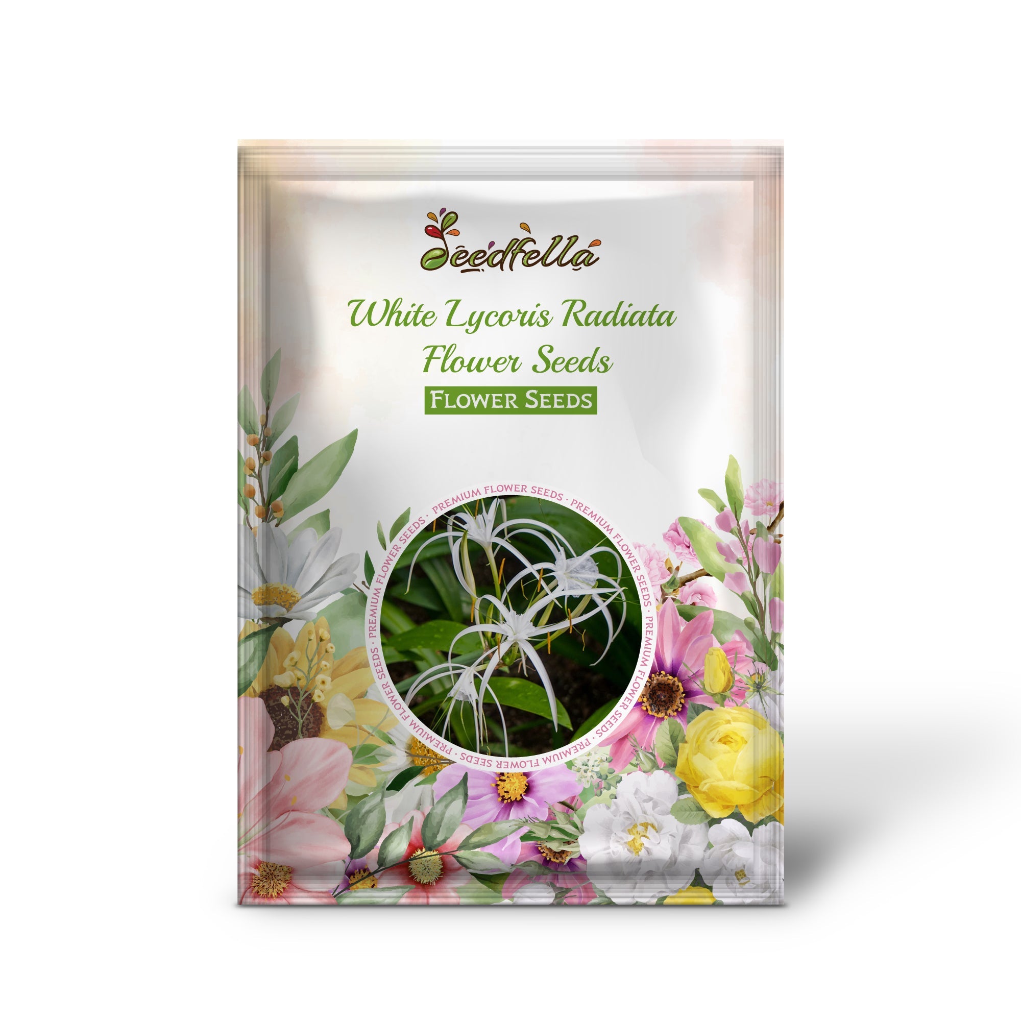 White Lycoris Radiata Flower Seeds - Elegant Planting Seeds for Beautiful Gardens