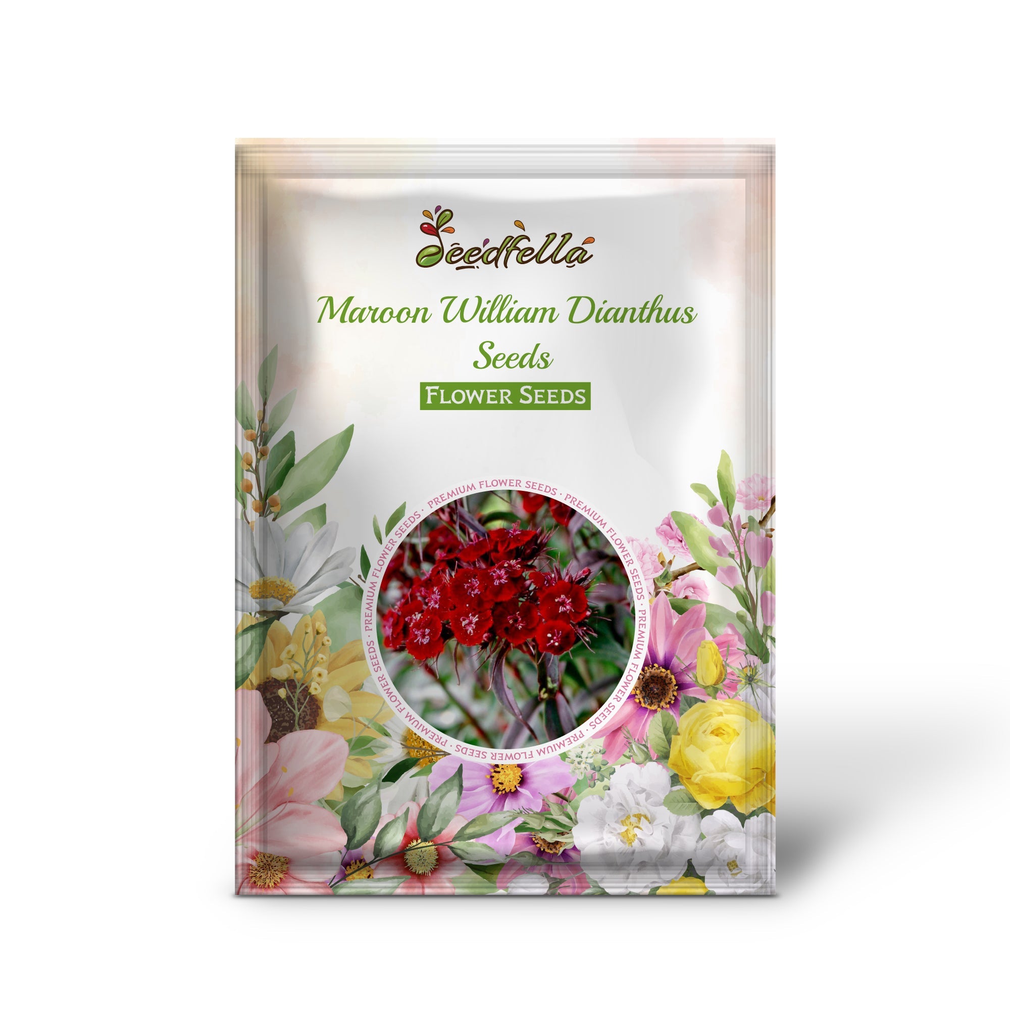 Maroon William Dianthus Seeds for Planting | Vibrant Annual Flower Seeds