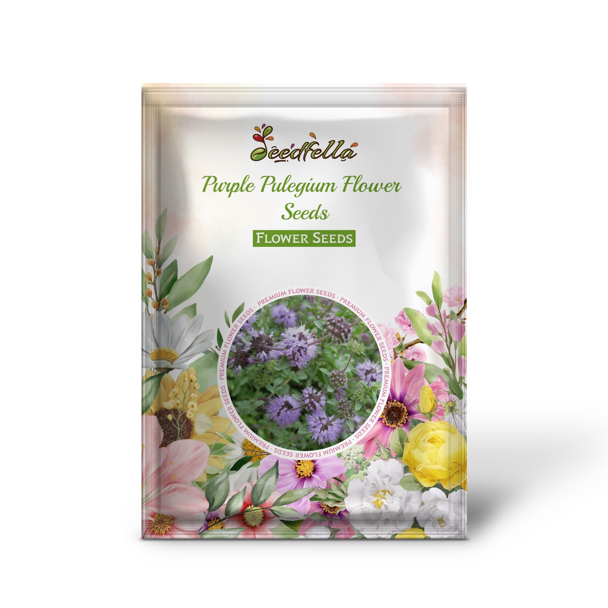Purple Pulegium Flower Seeds for Planting - Vibrant Annual Blooms