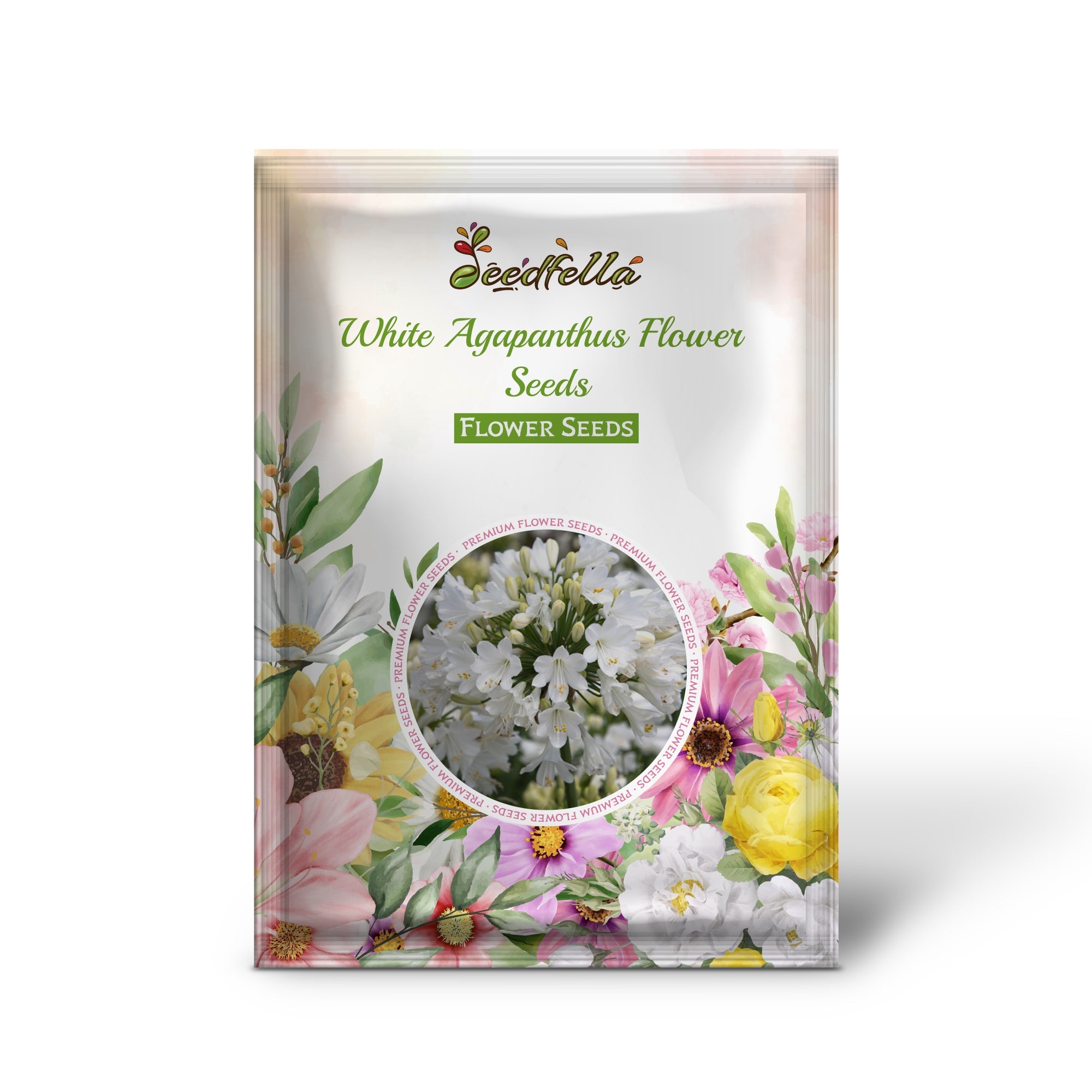 White Agapanthus Flower Seeds for Planting - Stunning Perennial Blooms