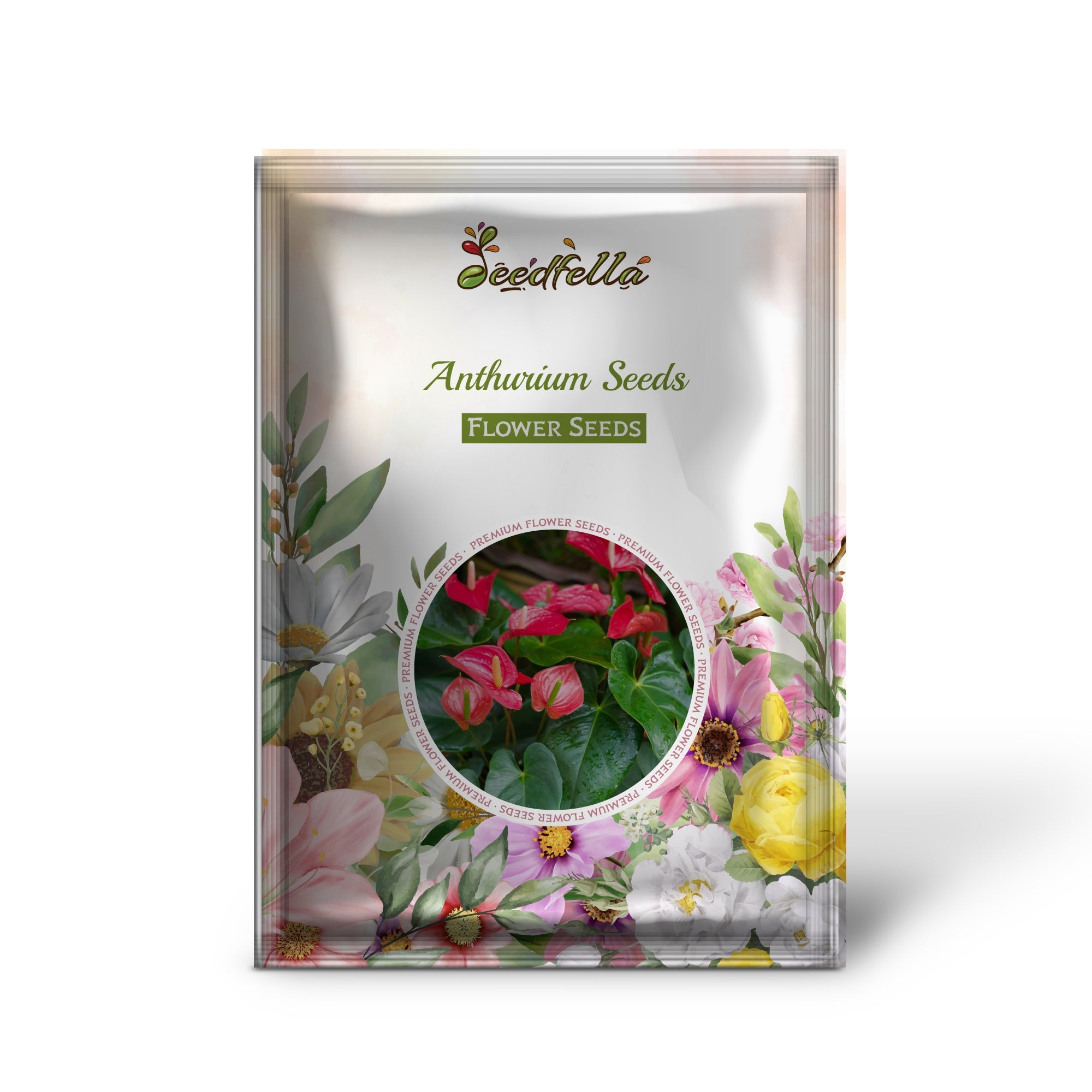 Anthurium Seeds for Easy Planting