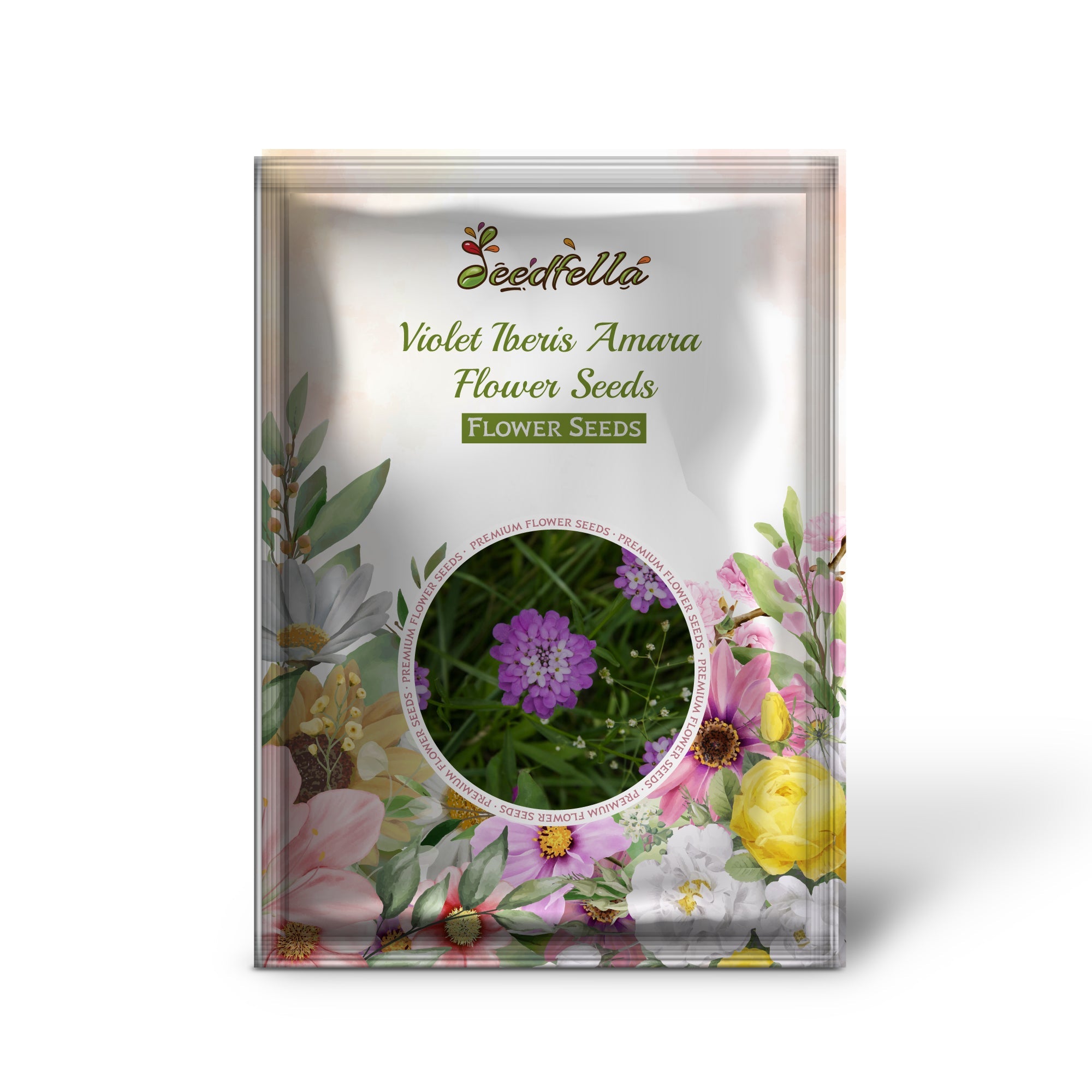 Violet Iberis Amara Flower Seeds for Easy Planting