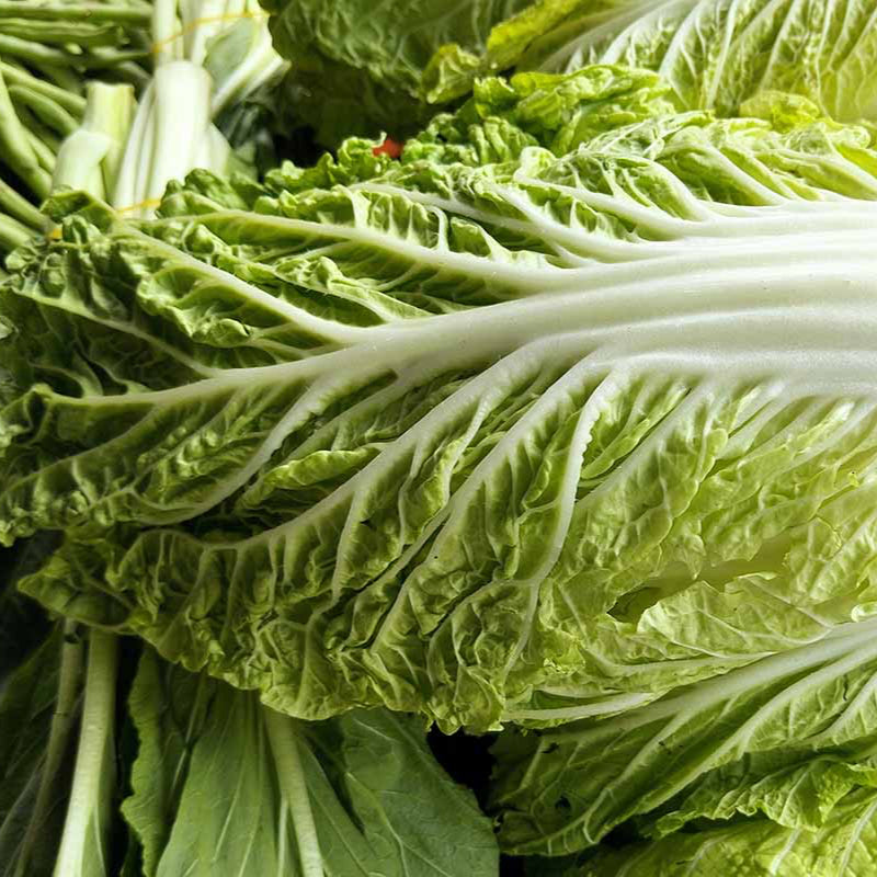 Buy Bloomsdale Spinach Seeds Online – Non-GMO Leafy Vegetable