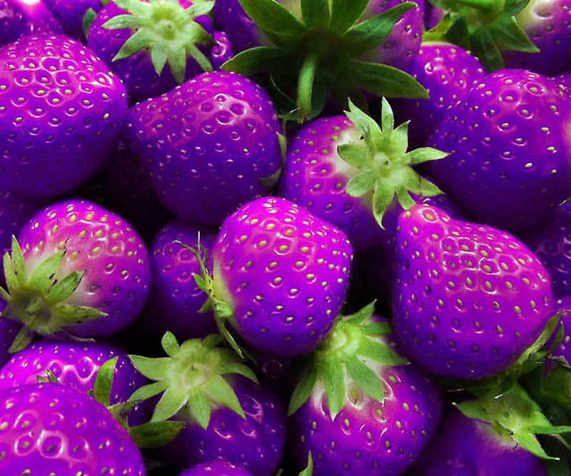 Strawberry Fruit Seeds Purple for Planting Seed for Unique, Colorful Strawberry Growth