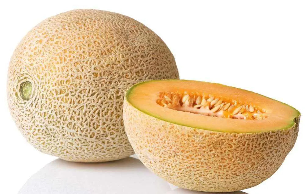Orange Hami Melon Seeds for Easy Planting