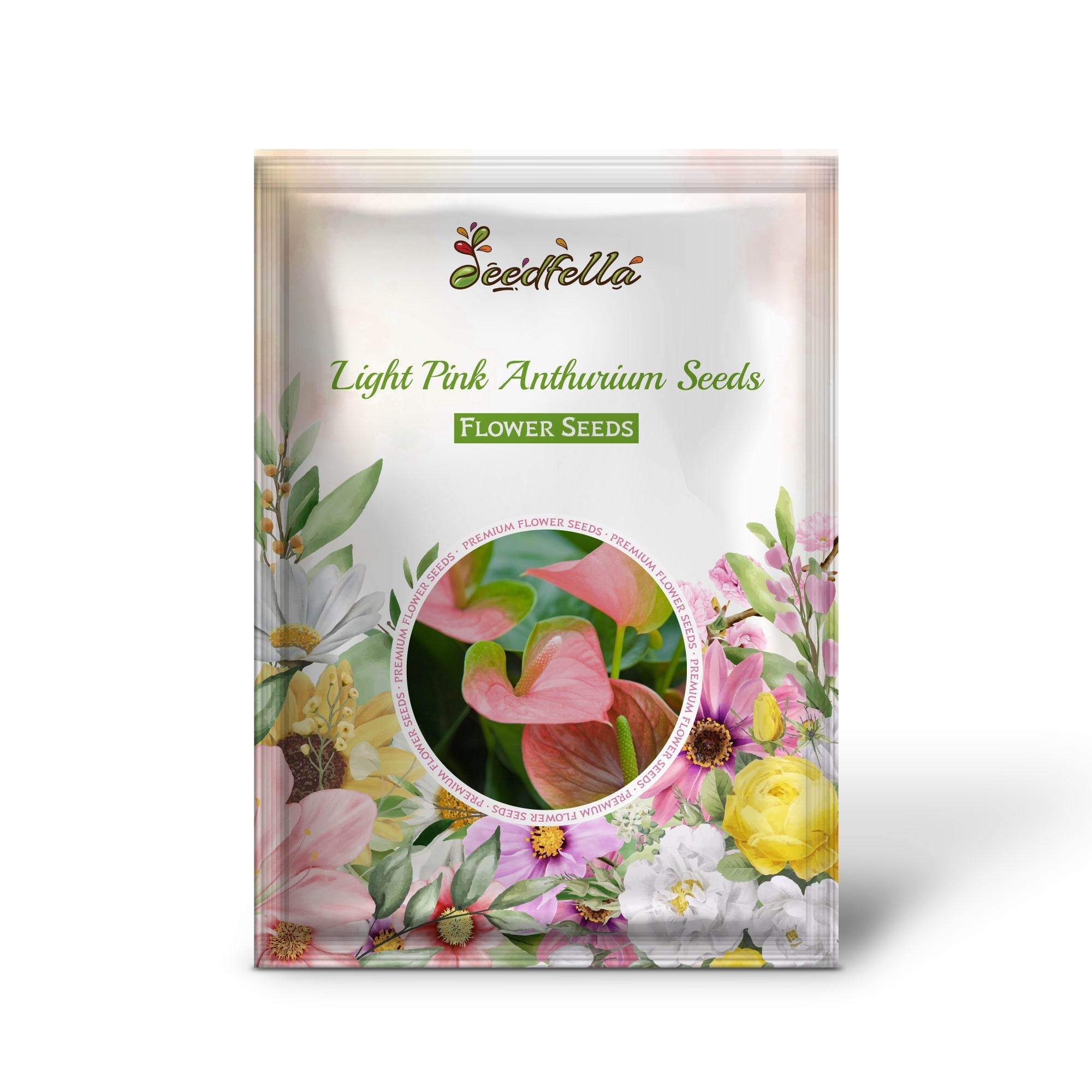 Elegant light pink Anthurium flowers in bloom