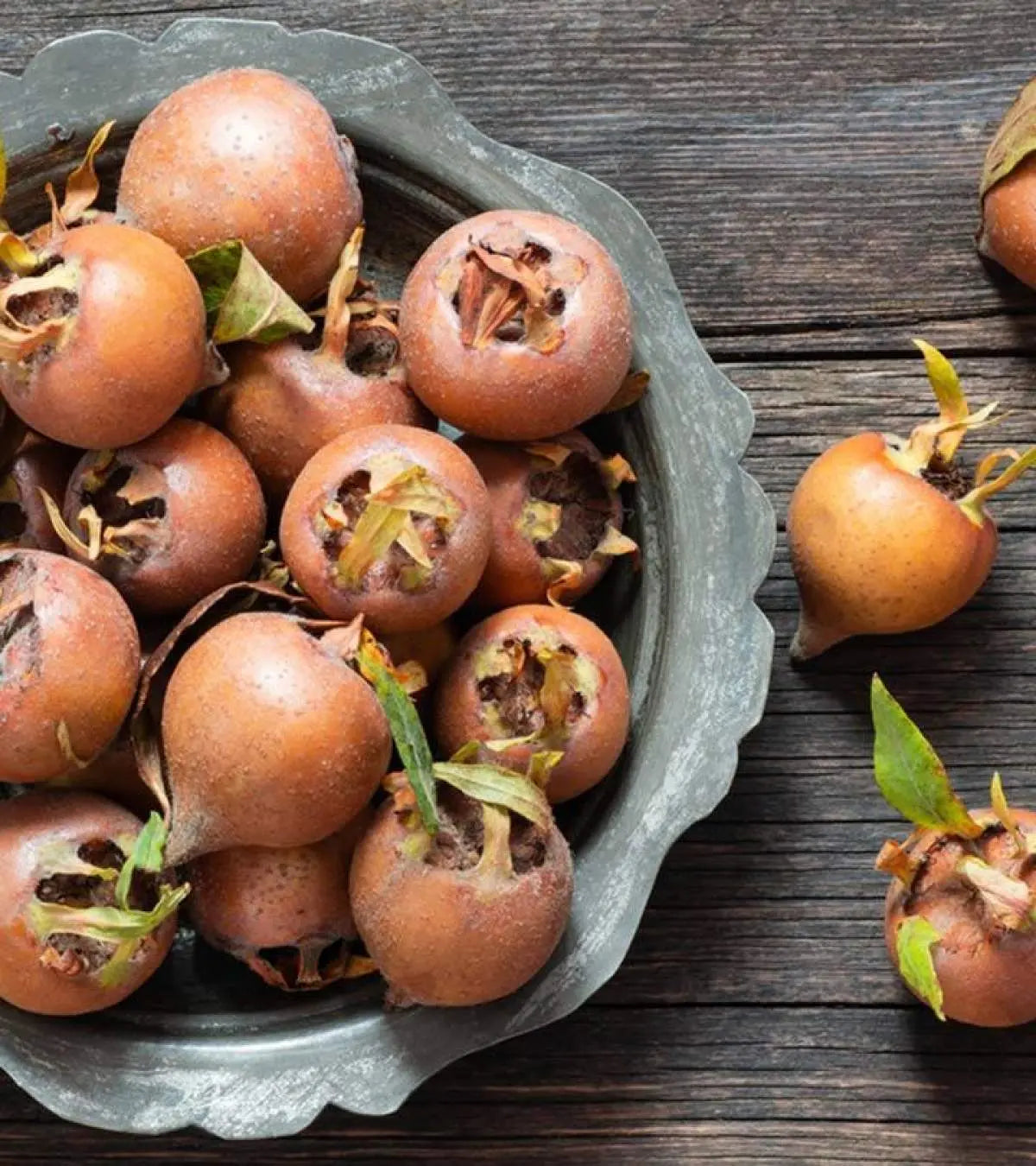 Brown Medlar Fruit Seeds for Planting Guide