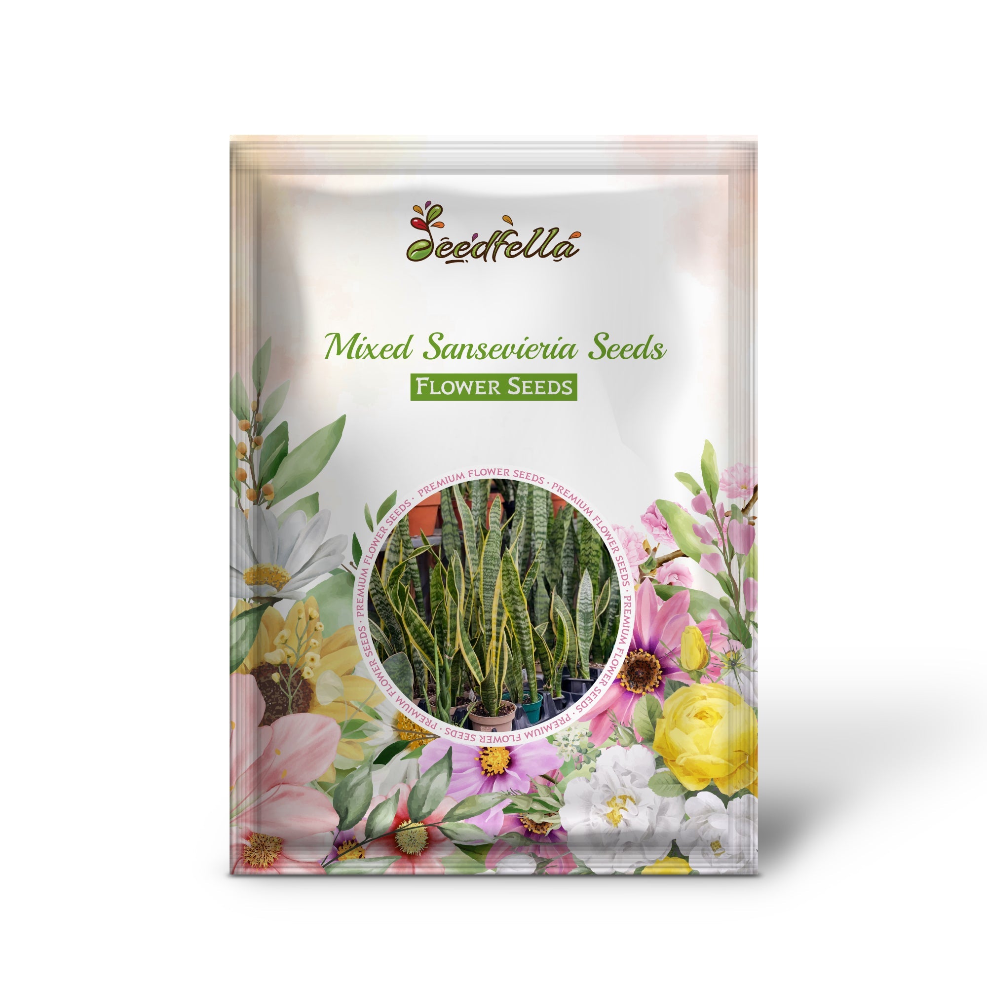 Mixed Sansevieria plants growing in garden