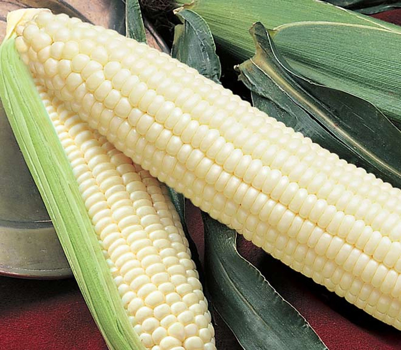 Premium White Corn Seeds – Sweet Corn Perfect for Cooking and Grilling