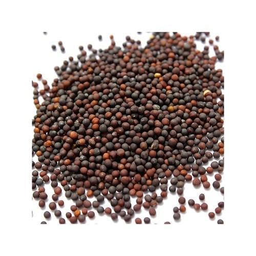 Buy Egyptian Spinach Seeds Online – Rich in Vitamins & Minerals