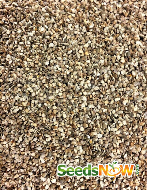 Flavorful Atkinson Tomato Planting Seeds - Vegetable Gardening Seeds