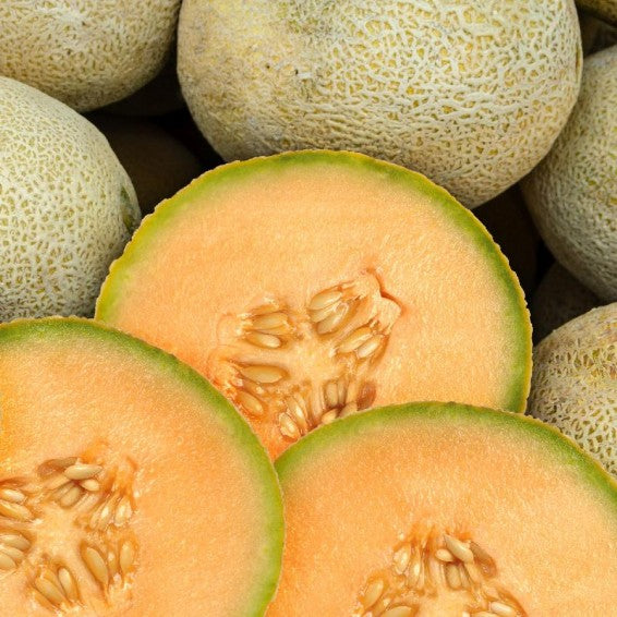 Orange Hami Melon Seeds for Easy Planting