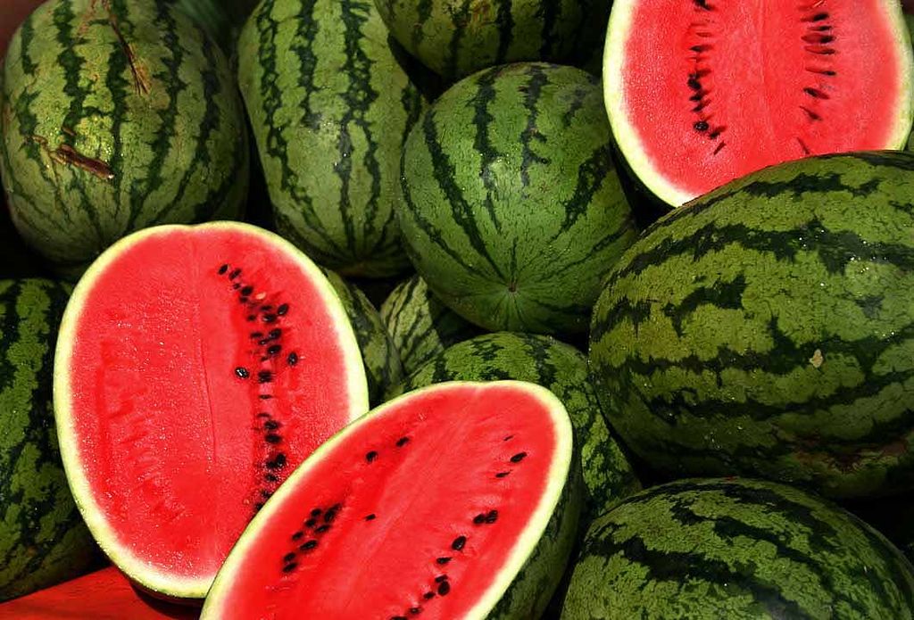 Rattlesnake Watermelon Seeds for Planting - Heirloom Fruit Variety, Perfect for Spring Gardens