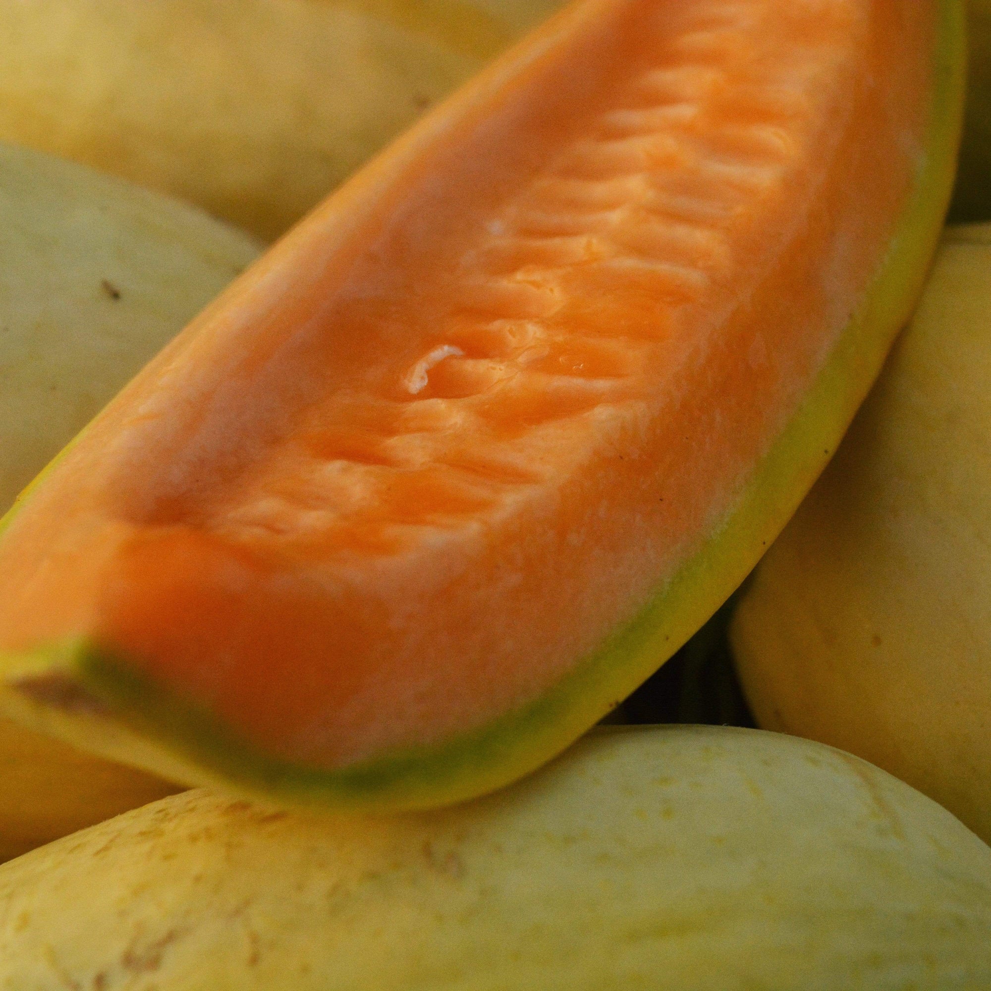 Gold Banana Melon Seeds for Planting Premium Fruit Seeds
