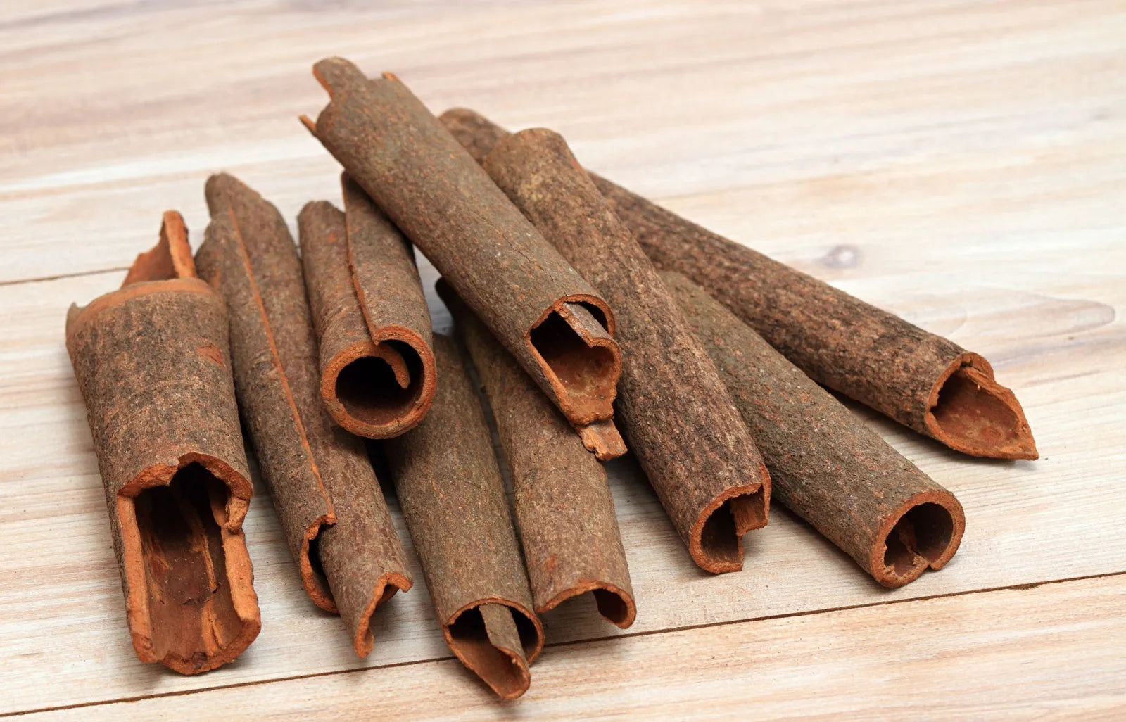 Cinnamon Seed Planting Pack