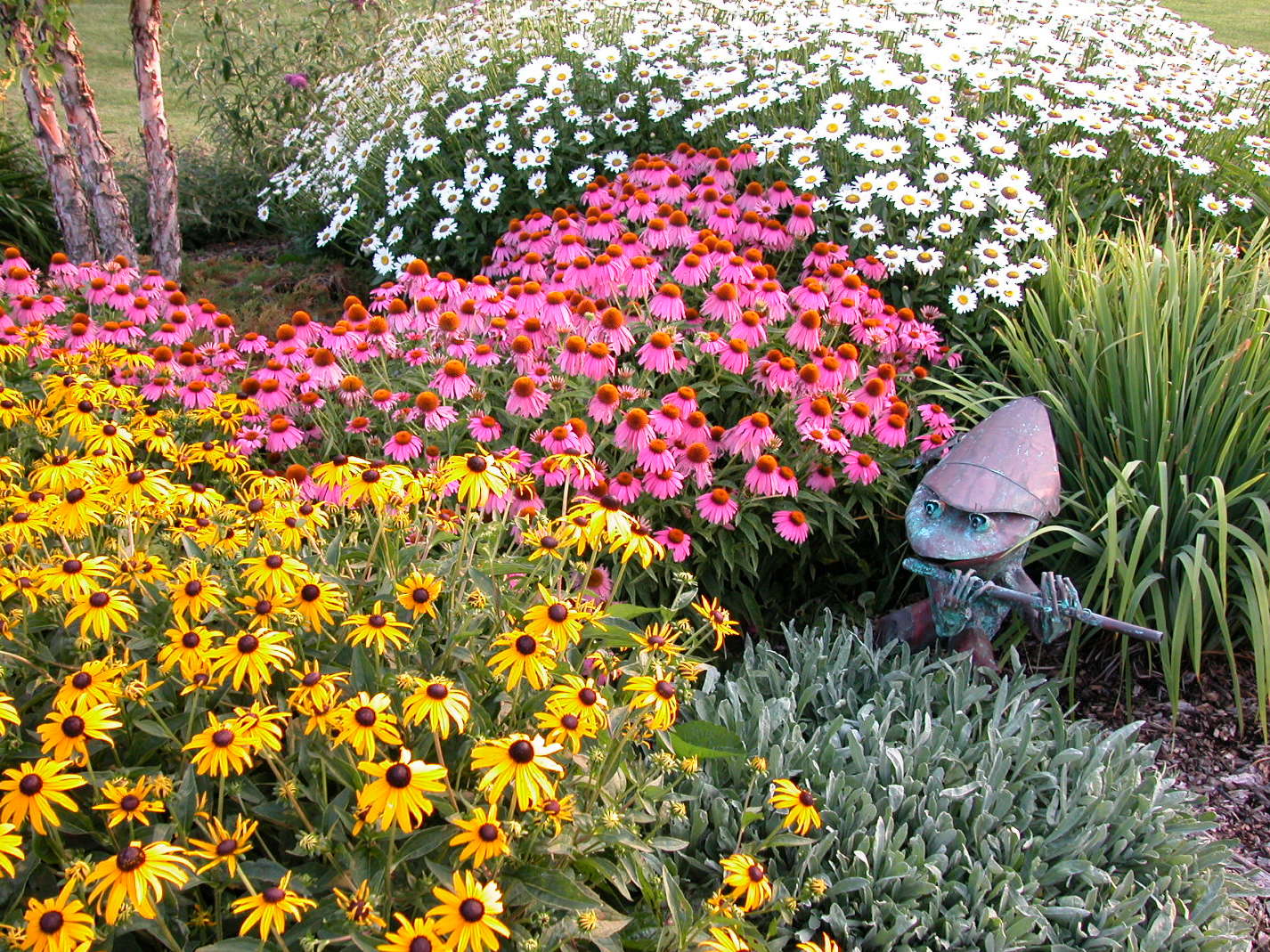 Mixed Color Perennial Flower Seeds for Planting Cut Flower Favorite Heirloom & GMO Free Seeds for Home Garden
Sale