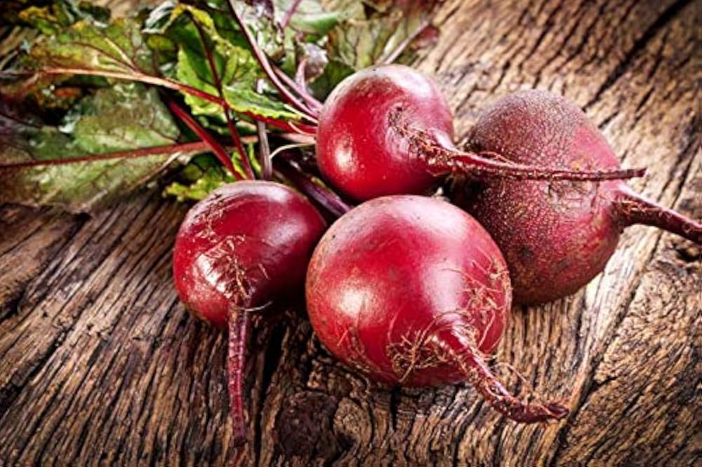 Beta vulgaris Sugar Beet seeds