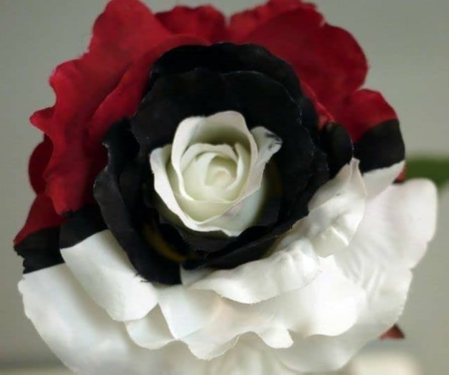 Black Pearl Rose Seeds for elegant garden planting