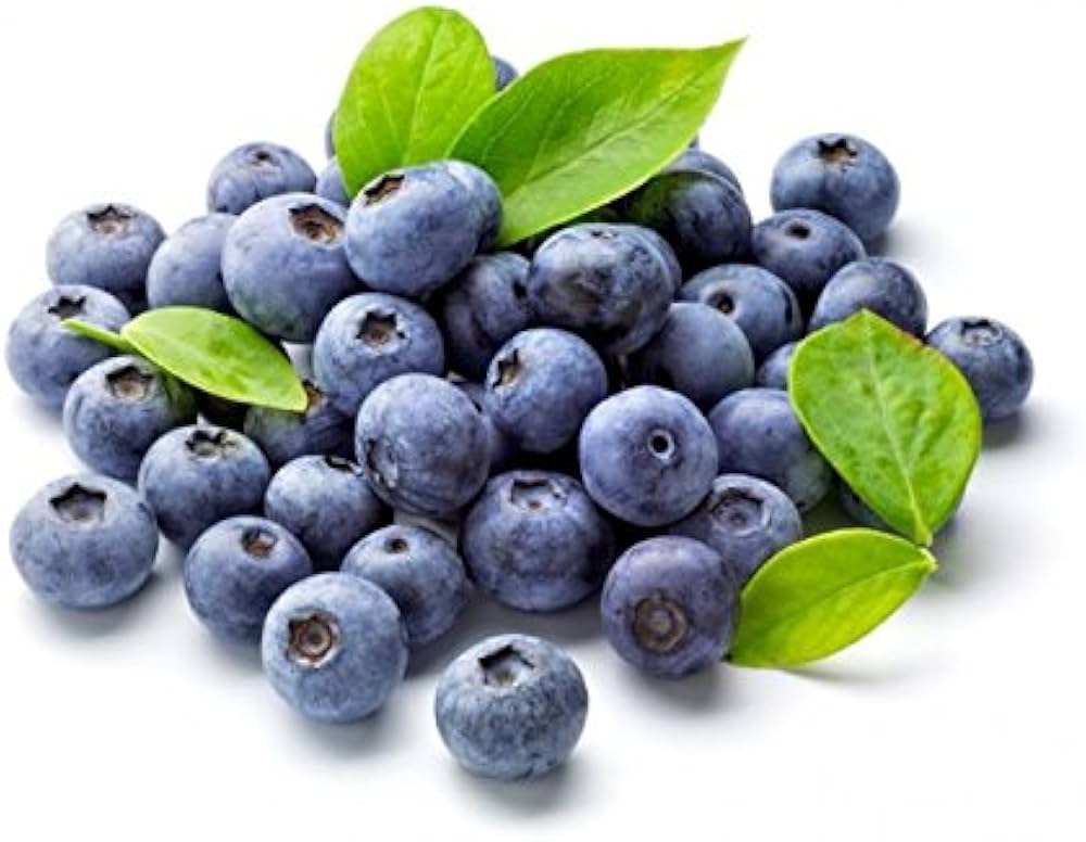 Blueberry Super Sweet seeds showing white spring flowers and green leaves