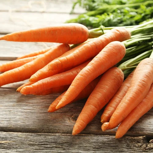 Premium Little Finger Carrot Seeds for Planting Ideal for Small Gardens