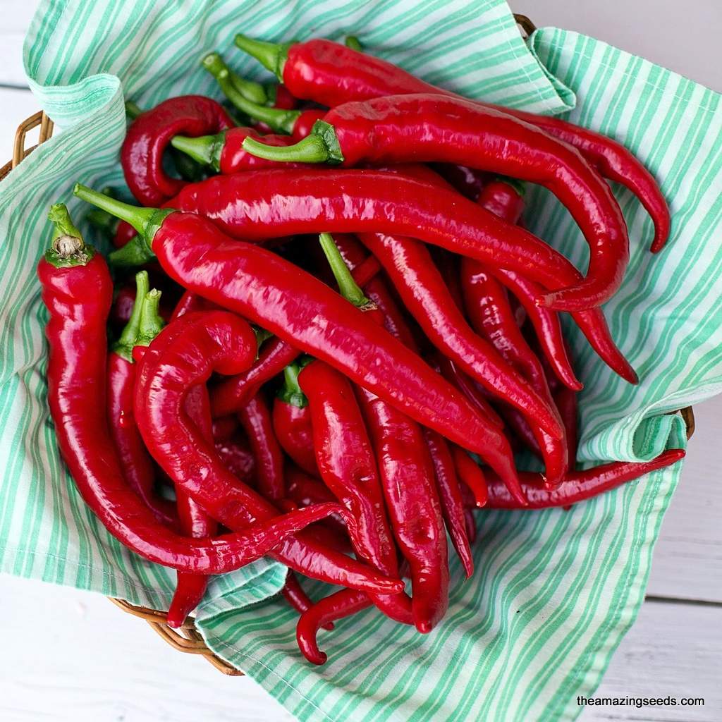 Long Red Slim Cayenne Pepper Seeds for Hot, Slim Peppers