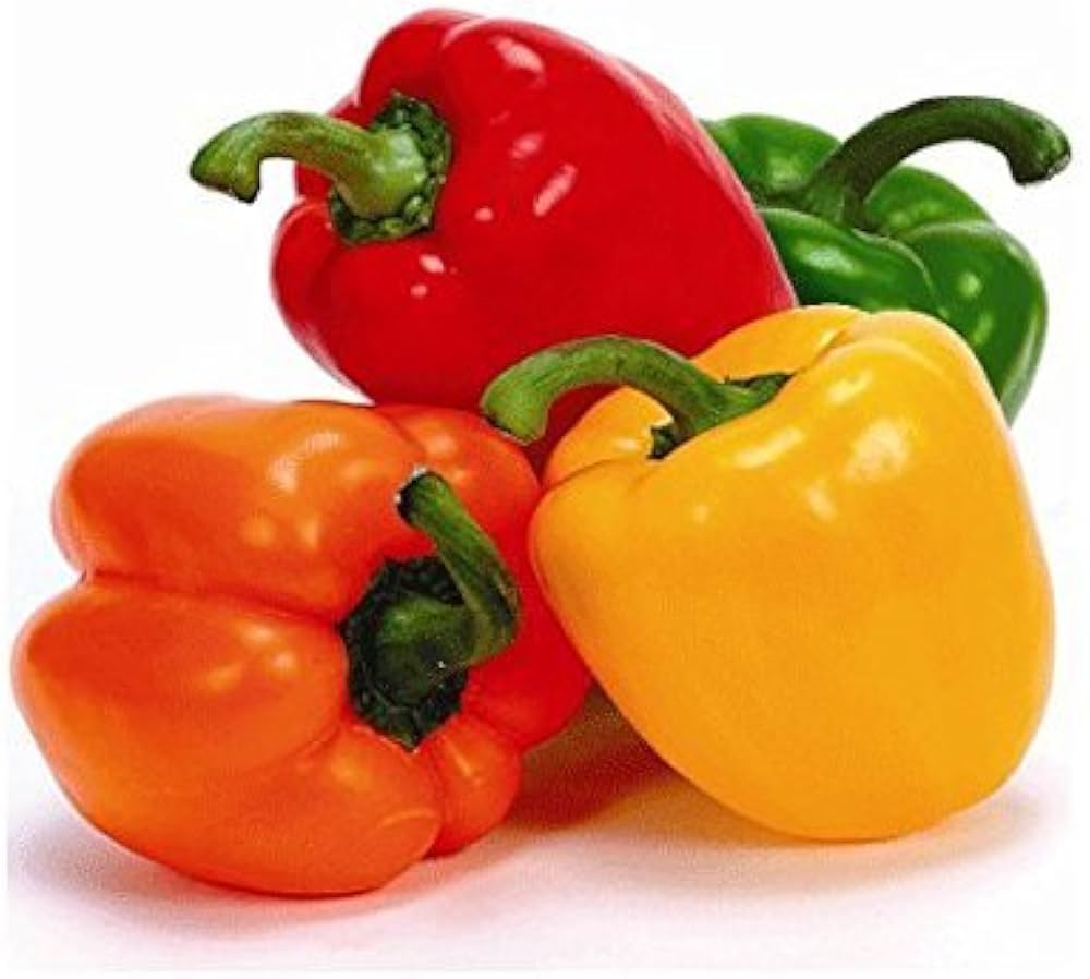 Ripe red Chili Pie peppers ready for harvest