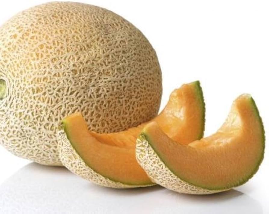 Cream yellow melon growing from cantaloupe seeds