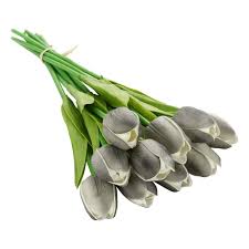 Dark Gray Tulip Flower Seeds for Planting Heirloom NonGMO High Germination Organic Garden Seeds
Sale for planting in home garden