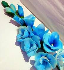 Sky Blue Gladiolus Flower Seeds for Planting Fragrant Blossoms Heirloom & GMO Free Seeds for Home Garden
Sale