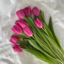 Deep Pink Tulip Flower Seeds for Planting – Heirloom NonGMO High Germination Organic Garden Seeds for Vibrant Spring Blooms
Sale for planting in home garden