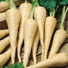 Hamburg Parsley Vegetable Seeds for Easy Planting