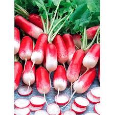 Rapid Yield Radish Seeds, Planting