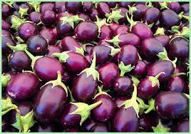 Purple Eggplant Seeds for Home Gardening