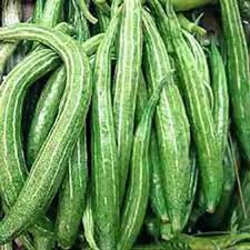 Trichosanthes Cucumerina Seeds for Vegetable Planting