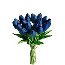 Deep Blue Tulip Flower Seeds for Planting – Heirloom NonGMO Organic Garden Seeds – Shade Tolerant High Germination Sale