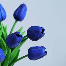 Deep Blue Tulip Flower Seeds for Planting – Heirloom NonGMO Organic Garden Seeds – Shade Tolerant High Germination
Sale for planting in home garden
