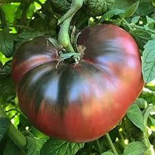 Cherokee Vegetable Seeds for Planting