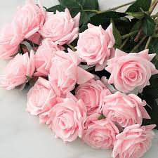Light Pink Home Garden Rose Flower Seeds Heirloom NonGMO Organic Garden Seeds for Planting
Sale for planting in home garden