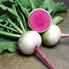 Watermelon Radish Vegetable Seeds for Planting