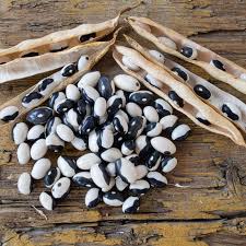 Black & White Troot Bean Vegetable Planting Seeds
