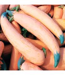 Georgia Candy Roaster Vegetable Seeds for Planting