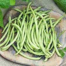 White Bean Planting Seeds for Your Garden