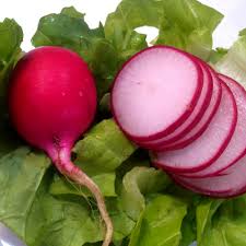 Cherry Belle Radish Planting Seeds