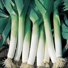 Green Saint Victor Vegetable Seeds for Planting
