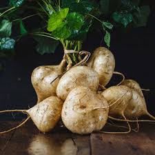 Jicama Vegetable Seeds for Planting