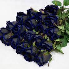 Blue Black Rose Seeds for Planting