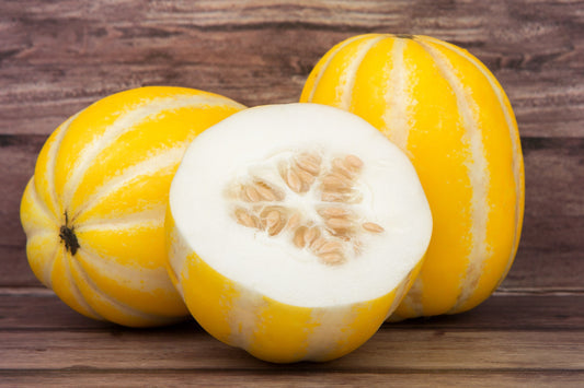 Early Silver Line Melon (Cucumis melo) seeds for planting